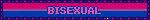 bi flag
